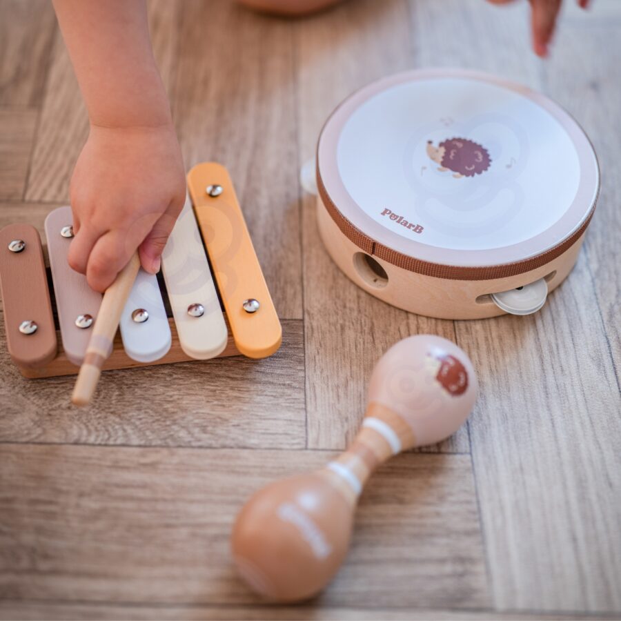 VIGA PolarB Zestaw Instrumentów Muzycznych Z Jeżykiem
