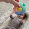 WOOPIE BABY Pastelowa Grzechotka Kula do Raczkowania 0m+