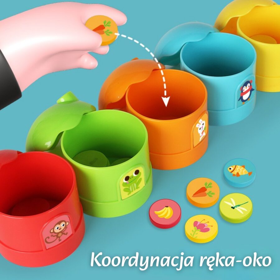 WOOPIE Gra Logiczna Edukacyjna Sorter Klasyfikacja Kolorów