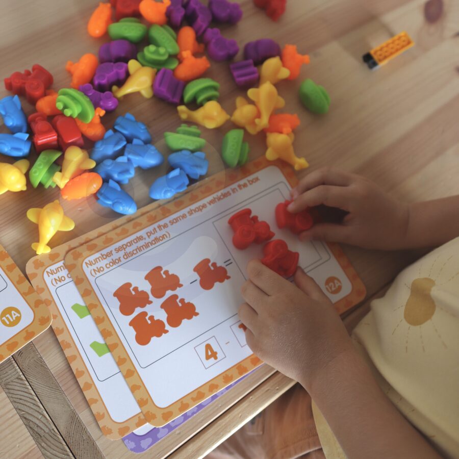 WOOPIE Zestaw Edukacyjny Nauka Liczenia Montessori Sorter Kolorów 8SZT